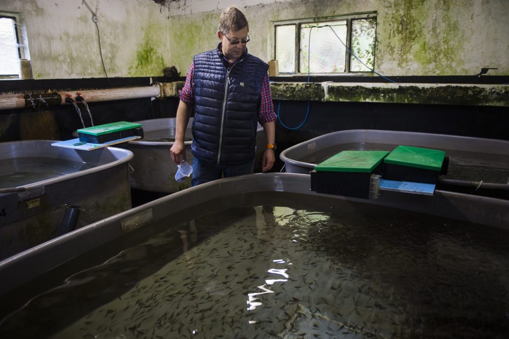 Fischsommelier-Dienstleistungen