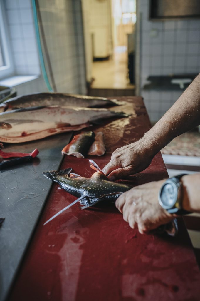 Gutachten & Bewertungen